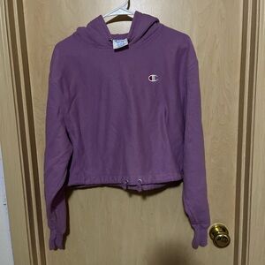 Champion Purple Hoodie